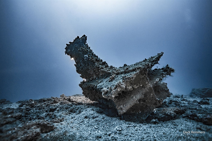 il-rostro-egadi-12-sul-fondale-a-86-metri-di-profondita¦c-photo-derk-remmers_402c635e